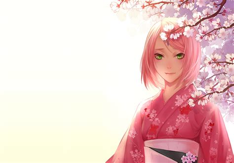 foto do sakura|4K Sakura Wallpapers [30+]